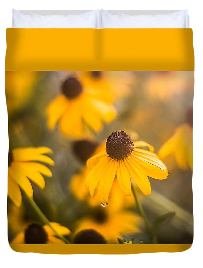 Black Eyed Susan Duvet Cover featuring the photograph Warm Light #2 by Parker Cunningham