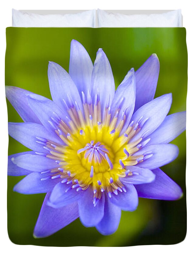 Water Lily Duvet Cover featuring the photograph Water Lily #2 by Laura Forde