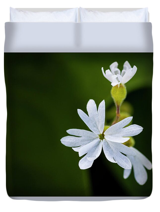 Nature Duvet Cover featuring the photograph White Flag #2 by Steven Clark