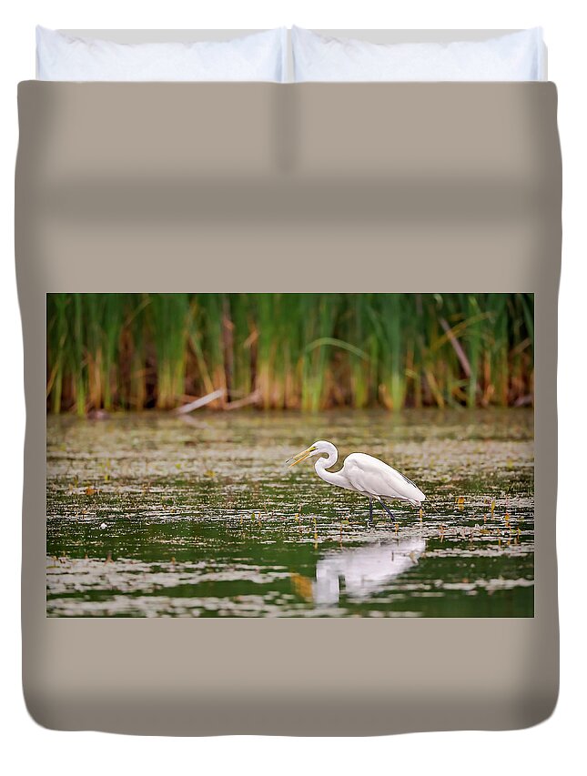 Animal Duvet Cover featuring the photograph White, Great Egret by Peter Lakomy