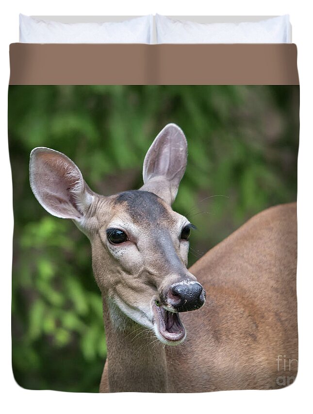 Deer Duvet Cover featuring the photograph White Tailed Deer No. 2 by John Greco