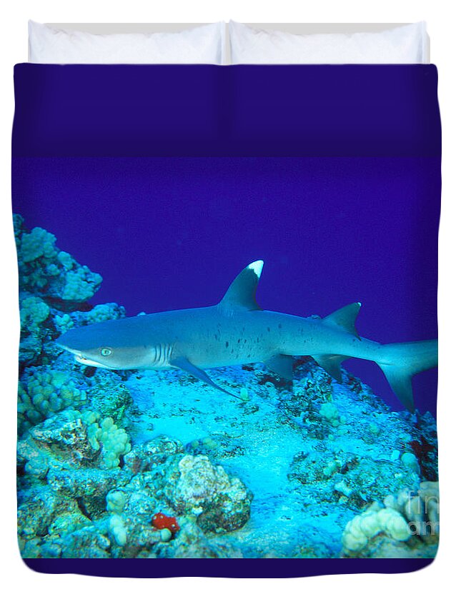 Above Duvet Cover featuring the photograph Whitetip Reef Shark #1 by Dave Fleetham - Printscapes