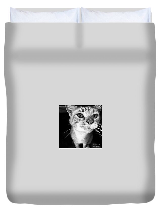 Feline Duvet Cover featuring the photograph Who me? #1 by Rabiah Seminole