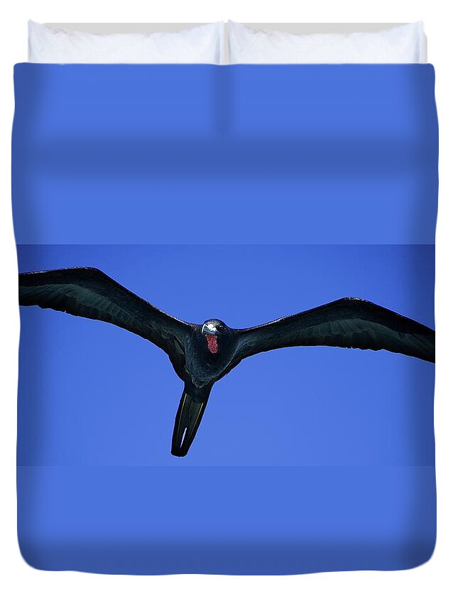 Birds Duvet Cover featuring the photograph Wildlife in Mexico #2 by Robert Grac