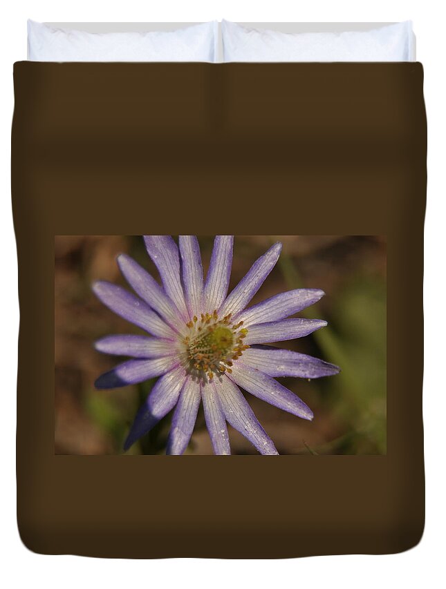 Texas Hill Country Duvet Cover featuring the photograph Wind-Flower #1 by Frank Madia