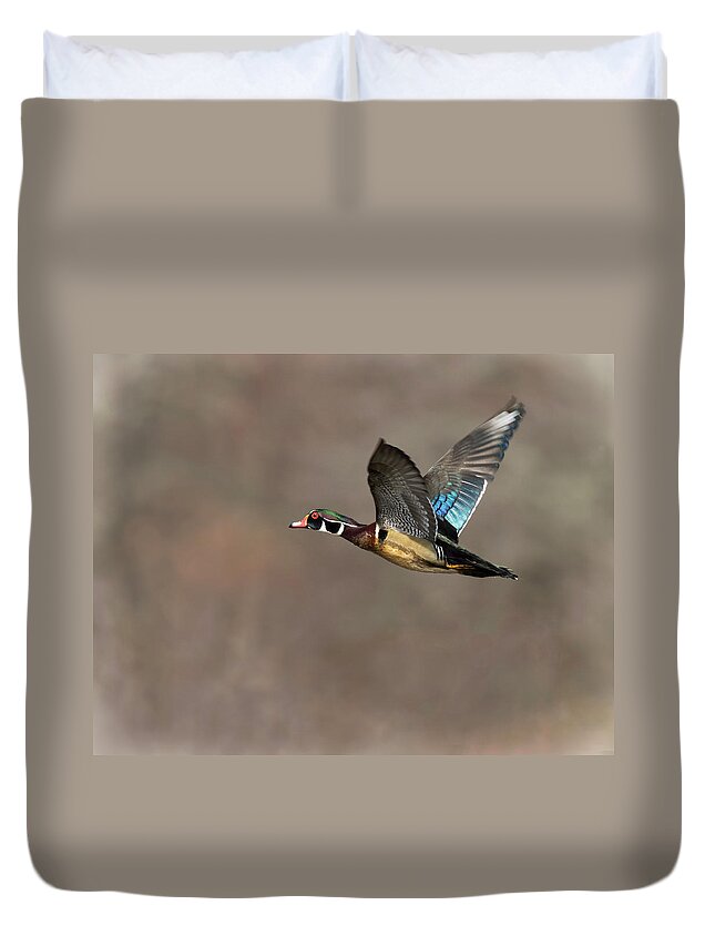 Duck Duvet Cover featuring the photograph Wood Duck Flight by Art Cole