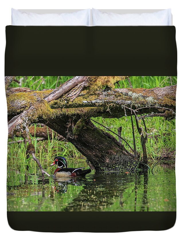 Sam Amato Photography Duvet Cover featuring the photograph Wood Duck #1 by Sam Amato