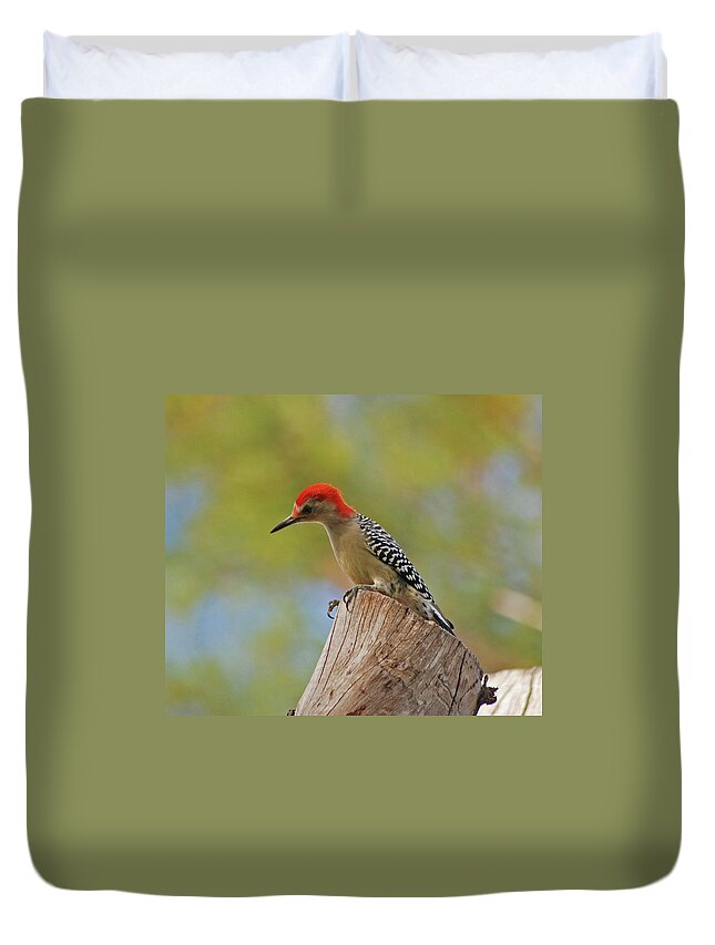 Woodpecker Duvet Cover featuring the digital art 1- Woodpecker by Joseph Keane