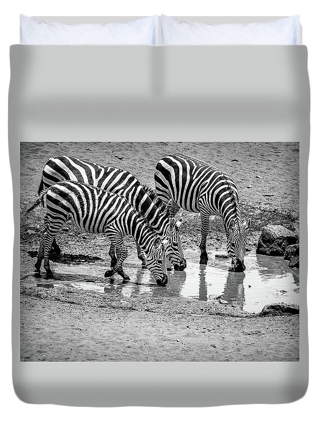 Zebras Duvet Cover featuring the photograph Zebras at the Watering Hole #1 by Marion McCristall