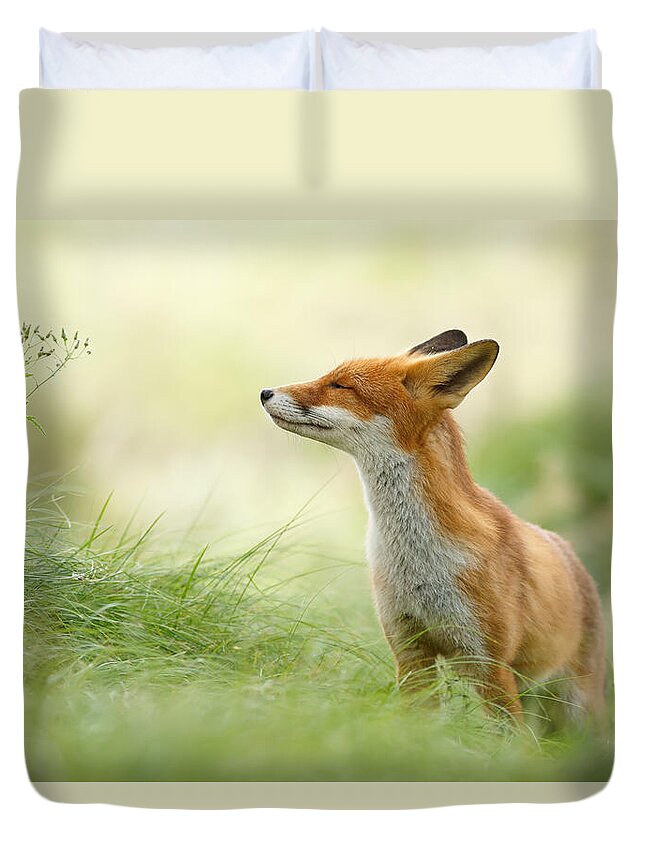 Fox Duvet Cover featuring the photograph Zen Fox Series - Zen Fox by Roeselien Raimond