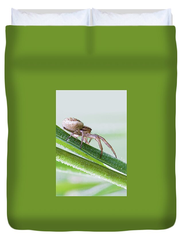 Spider Duvet Cover featuring the photograph Spider #10 by Jackie Russo