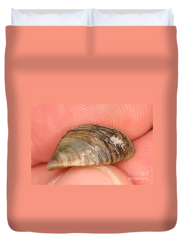 Animal Duvet Cover featuring the photograph Zebra Mussel #10 by Ted Kinsman