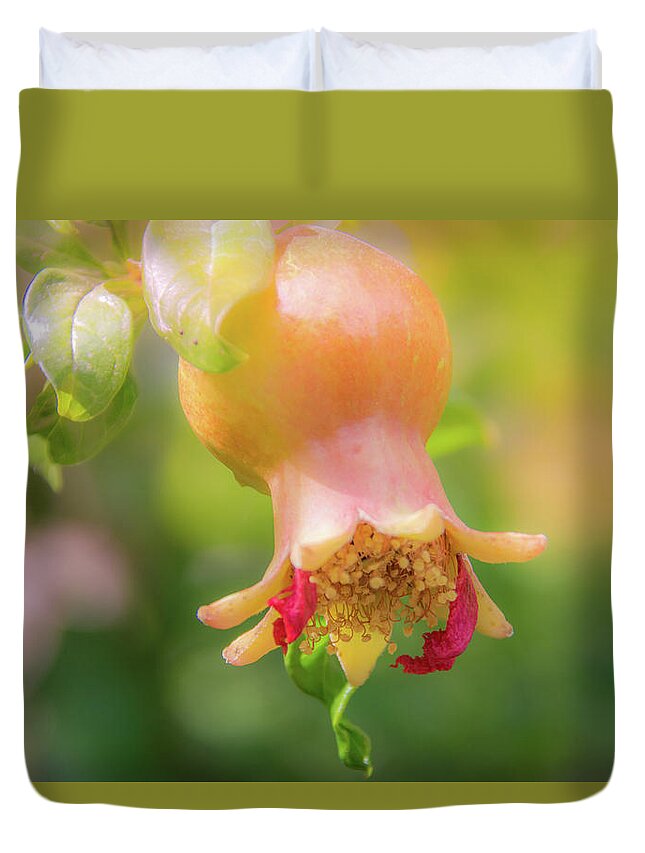 Fruit Duvet Cover featuring the photograph 10914 Pomegranate by Pamela Williams