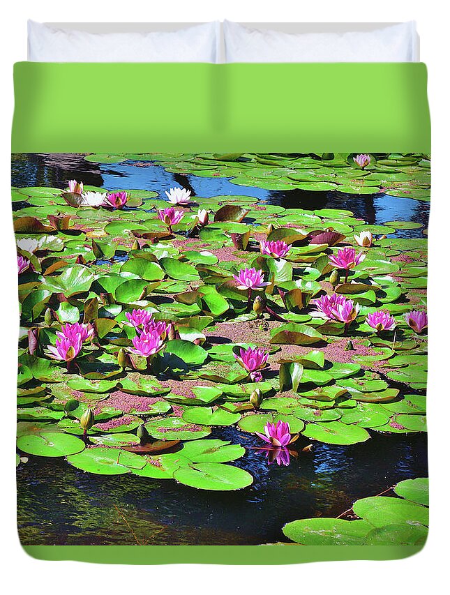 Linda Brody Duvet Cover featuring the photograph 11 Lily Pad with Brilliant Flowers by Linda Brody