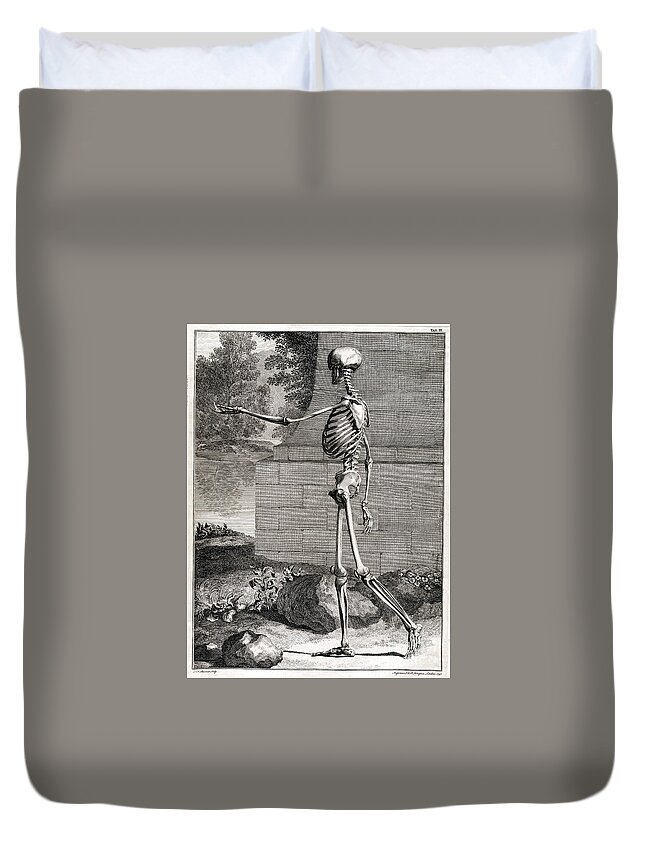 Science Duvet Cover featuring the photograph 18th Century Anatomical Engraving #12 by Science Source