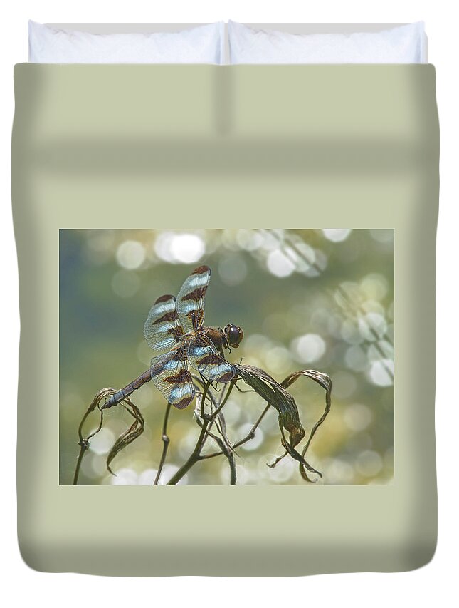 Odonata Duvet Cover featuring the photograph 12 Spotted Skimmer by Jim Zablotny
