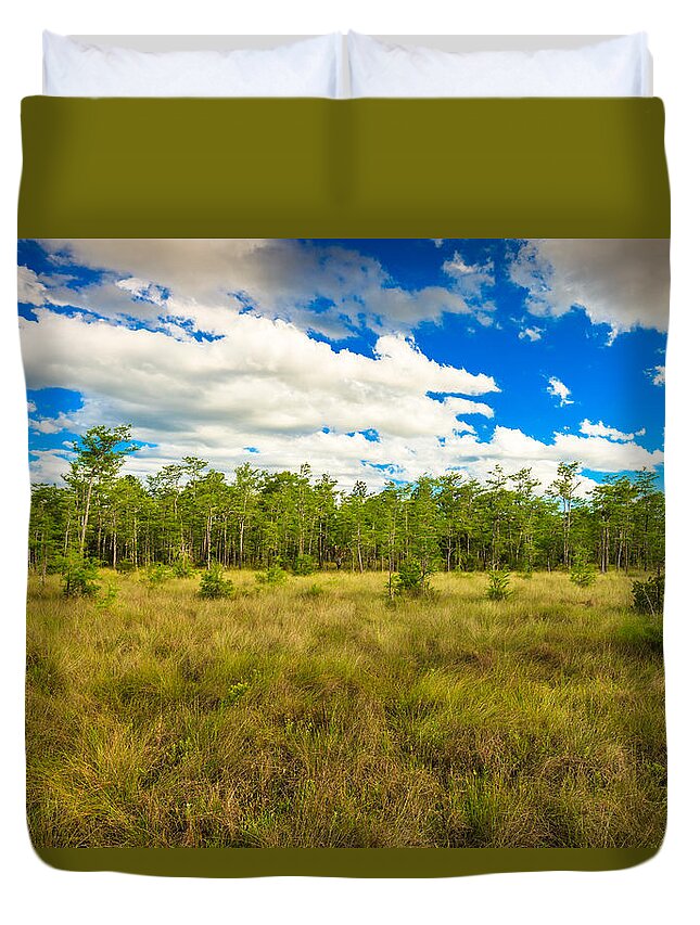 Everglades Duvet Cover featuring the photograph Florida Everglades #15 by Raul Rodriguez