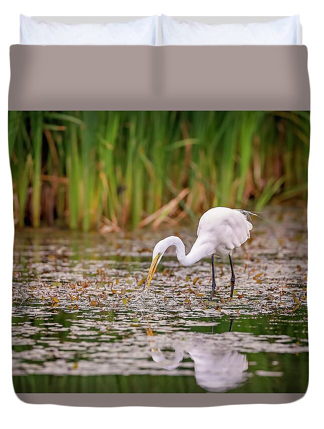 Animal Duvet Cover featuring the photograph White, Great Egret #15 by Peter Lakomy