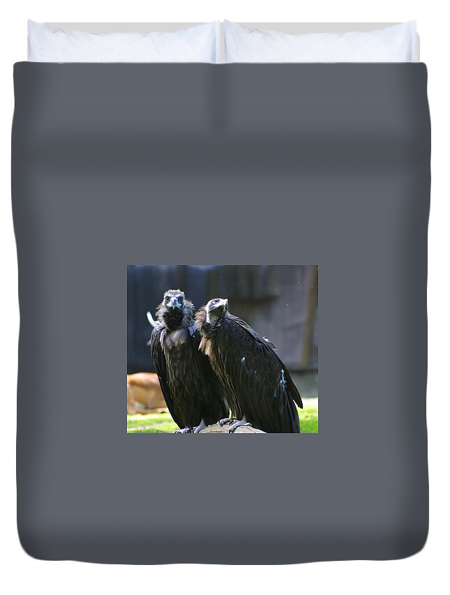 Zoo Duvet Cover featuring the photograph Zoo Scapes #15 by Jean Wolfrum