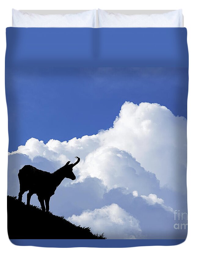 Chamois Duvet Cover featuring the photograph 150827p021 by Arterra Picture Library