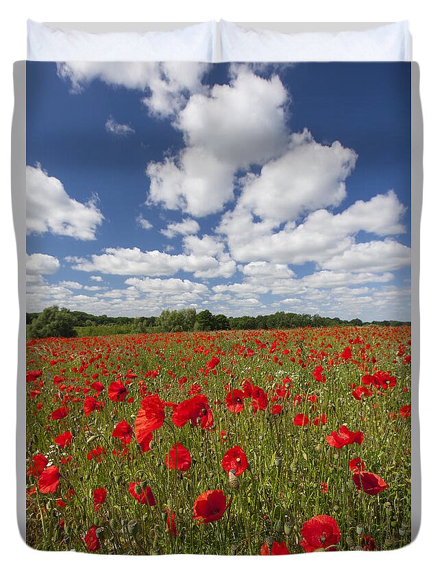 Common Poppy Duvet Cover featuring the photograph 151124p076 by Arterra Picture Library