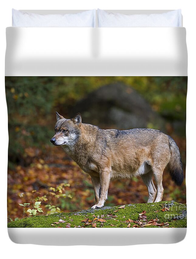 Europe Duvet Cover featuring the photograph 151221p044 by Arterra Picture Library