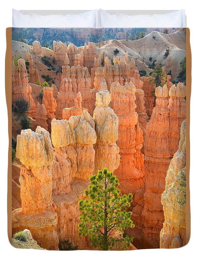 Bryce Canyon National Park Duvet Cover featuring the photograph Fairyland Canyon #13 by Ray Mathis