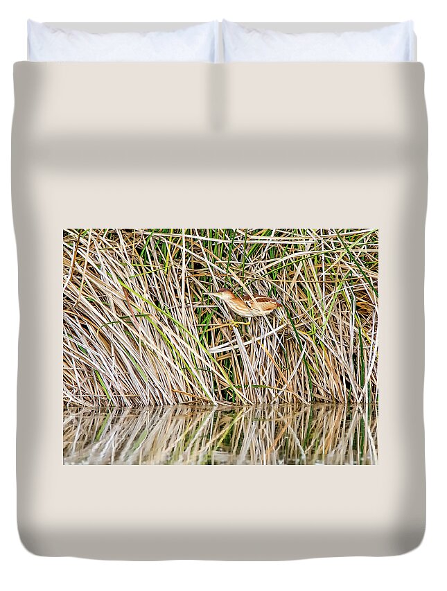 Least Duvet Cover featuring the photograph Least Bittern #16 by Tam Ryan
