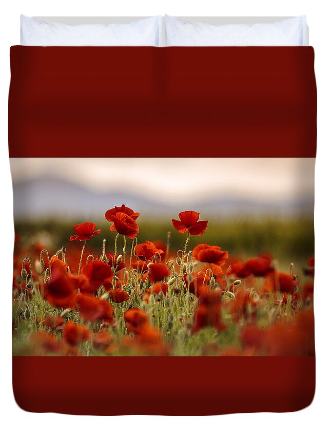 Poppy Duvet Cover featuring the photograph Summer Poppy Meadow by Nailia Schwarz