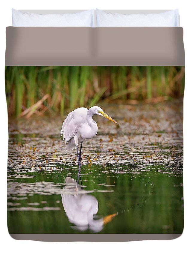 Animal Duvet Cover featuring the photograph White, Great Egret #16 by Peter Lakomy