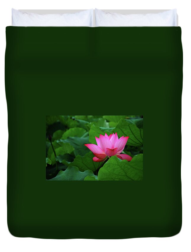 Lotus Duvet Cover featuring the photograph Blossoming lotus flower closeup #17 by Carl Ning