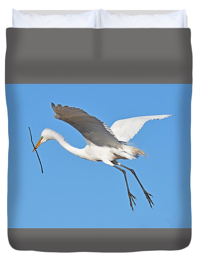 Egret Duvet Cover featuring the photograph Great Egret #17 by Lindy Pollard