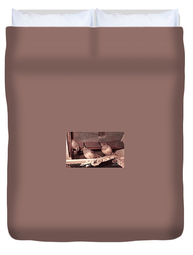 Copyright Christopher Plummer 2017 Duvet Cover featuring the photograph 17_through The Niche And Stile by Christopher Plummer