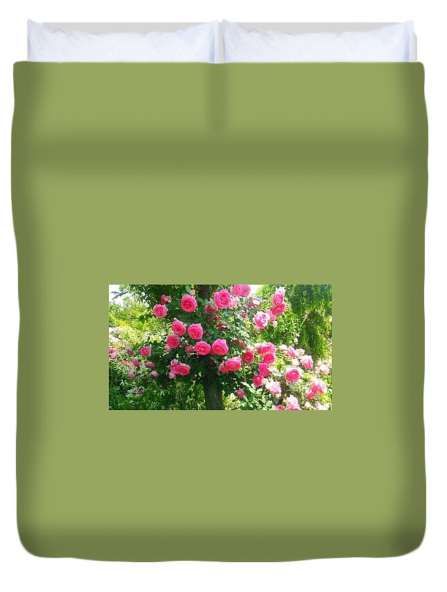 #flower#flowerlovers#flowerlover#green#flowerlovers#floral#rose#rosa#pink#petal#plant#blossom#photooftheday#floweroftheday#webstagram#naturestagram#flowerstagram#naturelover#naturelovers#naturehippys#naturehippy#flowers#yokohama#japan#kn##l#{ Duvet Cover featuring the photograph Rose #18 by Tomoko Takigawa