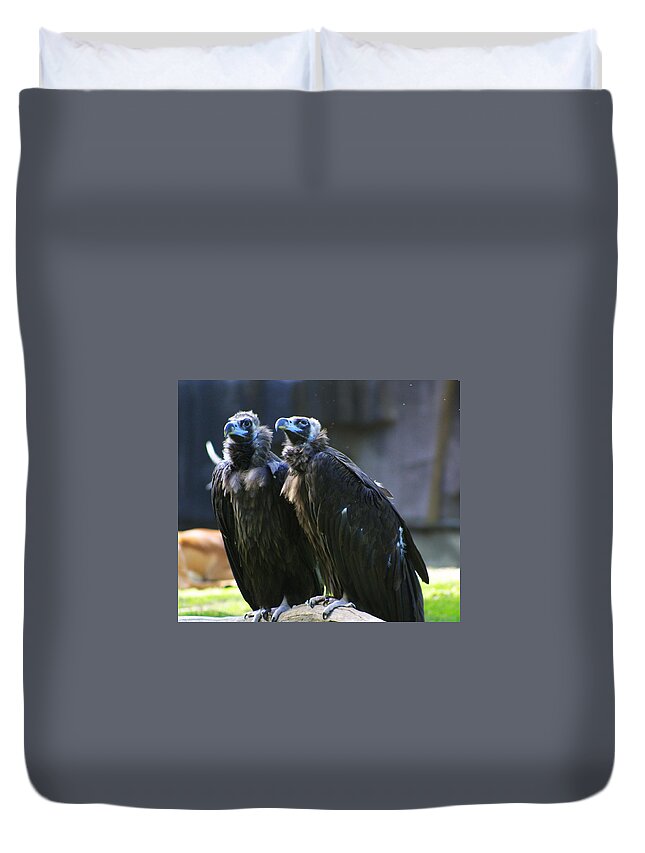 Zoo Duvet Cover featuring the photograph Zoo Scapes #18 by Jean Wolfrum