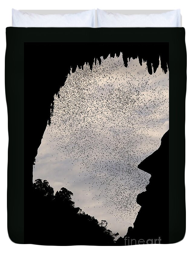 Wildlife Duvet Cover featuring the photograph Bats Leaving Deer Cave #2 by Fletcher & Baylis