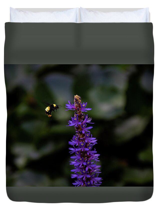 Jay Stockhaus Duvet Cover featuring the photograph Bee #2 by Jay Stockhaus