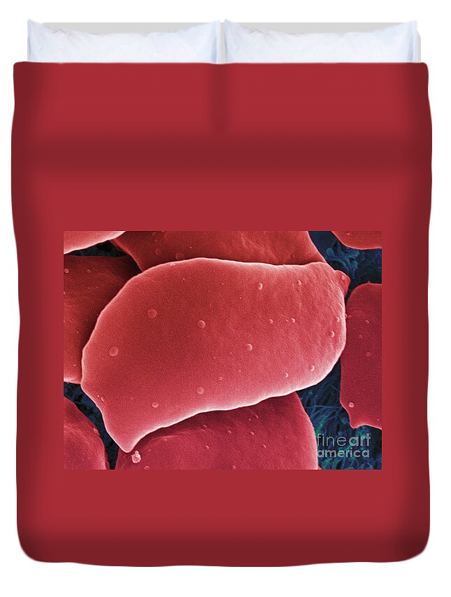 Science Duvet Cover featuring the photograph Blood Platelets, Sem #2 by Ted Kinsman