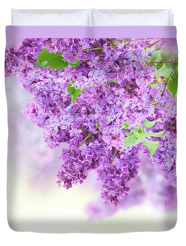 Lilac Duvet Cover featuring the photograph Bush of Lilac #3 by Anastasy Yarmolovich