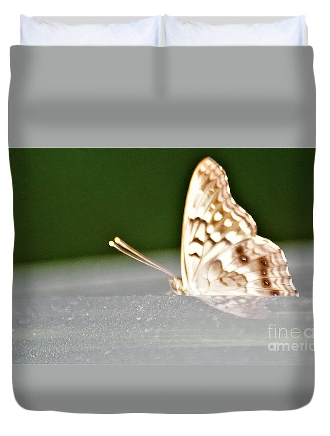 Butterflies Duvet Cover featuring the photograph Butterfly on my car5 by Merle Grenz