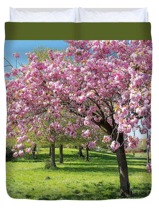 Color Duvet Cover featuring the photograph Cherry blossom tree #2 by Colin Rayner