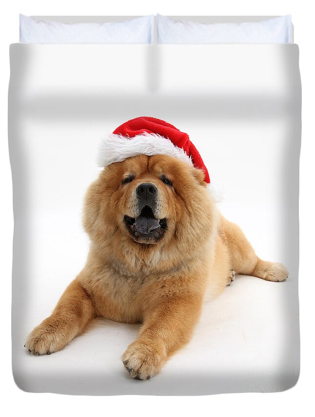 Animal Duvet Cover featuring the photograph Christmas Dog #2 by Mark Taylor