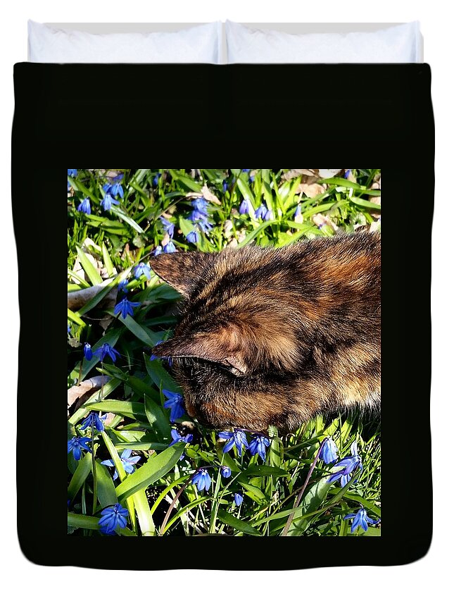Digital Art Duvet Cover featuring the photograph Coconut the Cat #2 by Belinda Cox