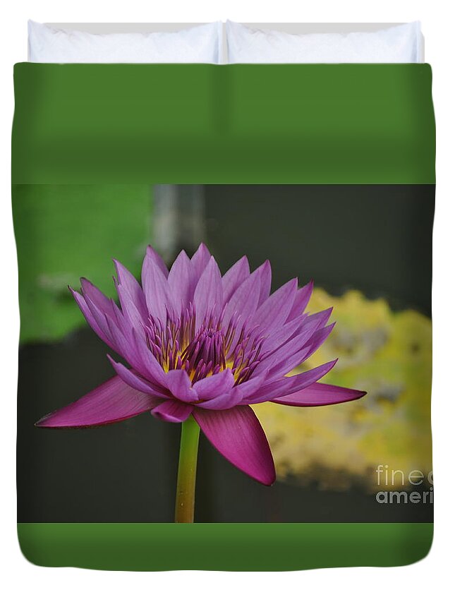 Lily Duvet Cover featuring the photograph Delight #2 by Nona Kumah