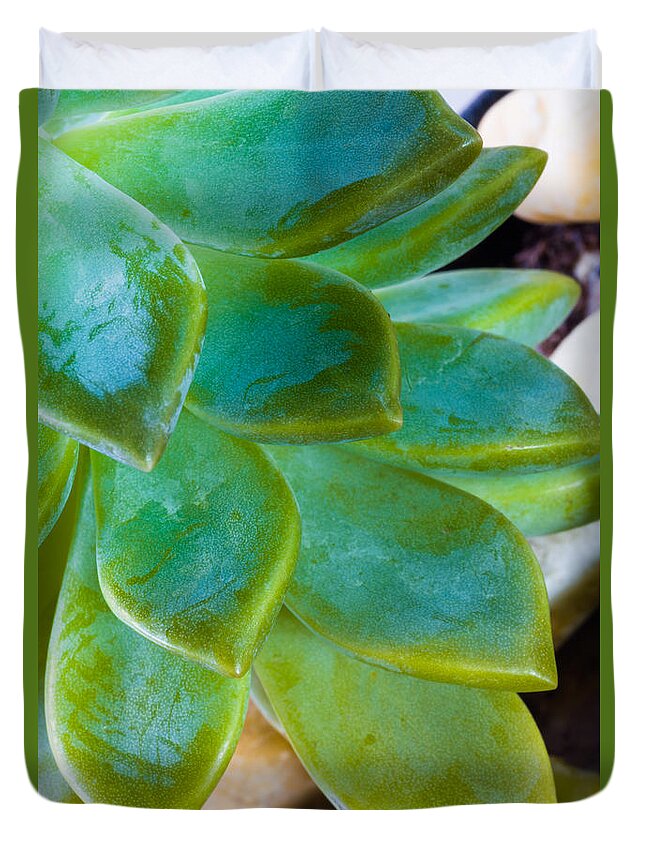 Beautiful Duvet Cover featuring the photograph Blue Pearl Plant by Raul Rodriguez