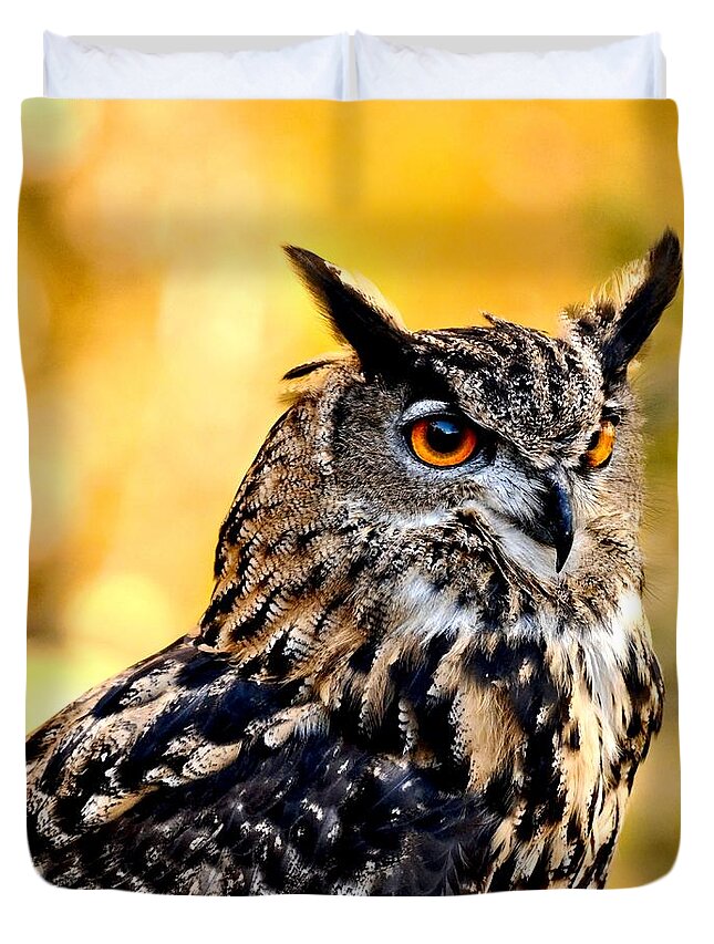 Owl Duvet Cover featuring the photograph Eurasian Eagle Owl #2 by Amy McDaniel