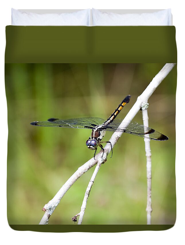 Pachydiplax Longipennis Duvet Cover featuring the photograph Female Blue Dasher Dragonfly #2 by Kathy Clark