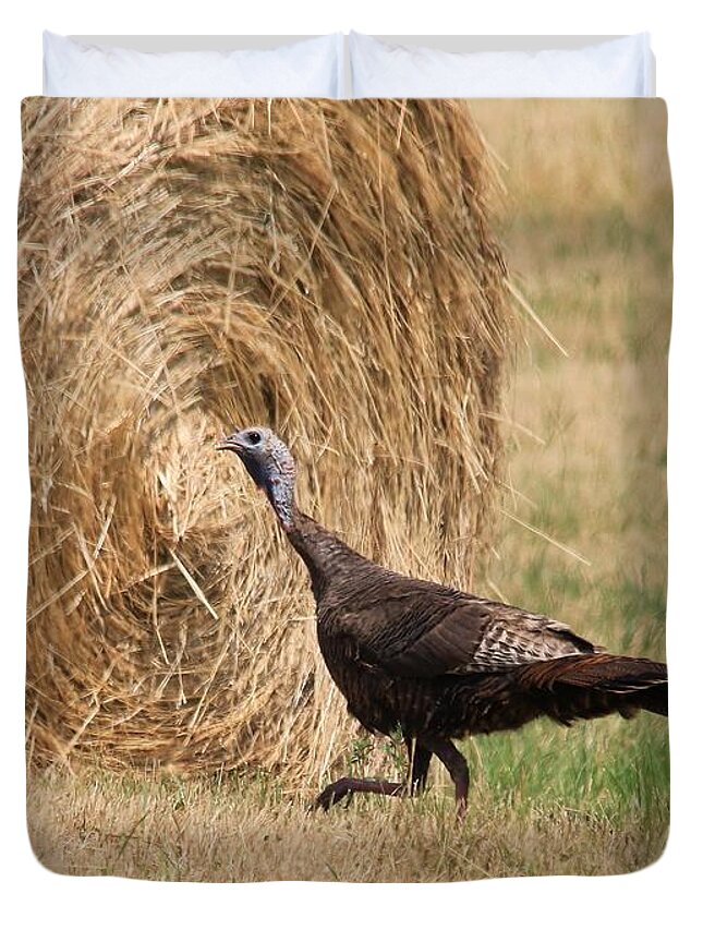 Mccombie Duvet Cover featuring the photograph Female Eastern Wild Turkey #2 by J McCombie
