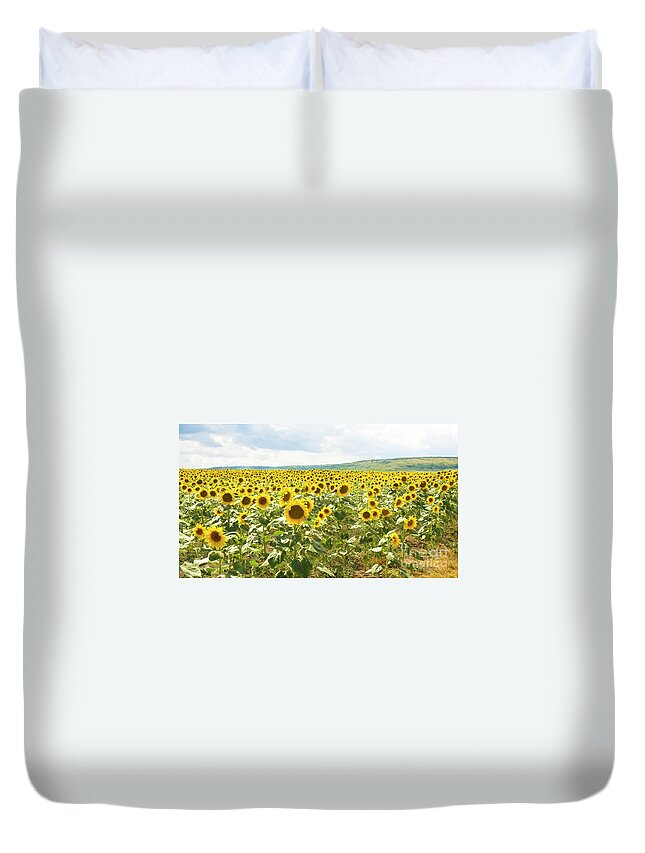 Sunflower Duvet Cover featuring the photograph Field with sunflowers #2 by Irina Afonskaya