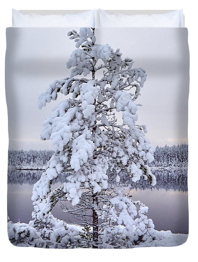 Jouko Lehto Duvet Cover featuring the photograph First Snow #3 by Jouko Lehto